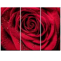 Tableau à toile imprimée florale Design Art Pétales de rose rouge avec gouttelettes de pluie