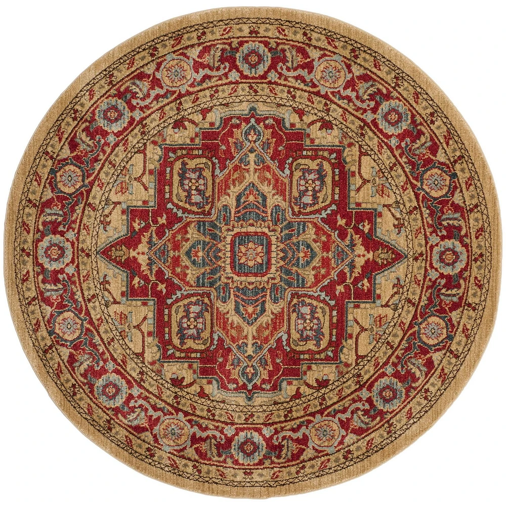 Safavieh Mahal Oswin Floral Bordered Area Rug
