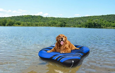 Lit flottant gonflable pour animale compagnie en forme d’os pour lac Ozark Trail, 42,5 po x 42,5 po x 7,87 po / 108 cm x 108 cm x 20 cm
