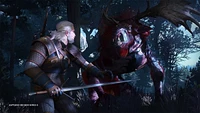 Jeu vidéo Witcher 3: Wild Hunt Complete Edition pour (Xbox Series X/S) Xbox Série X/S