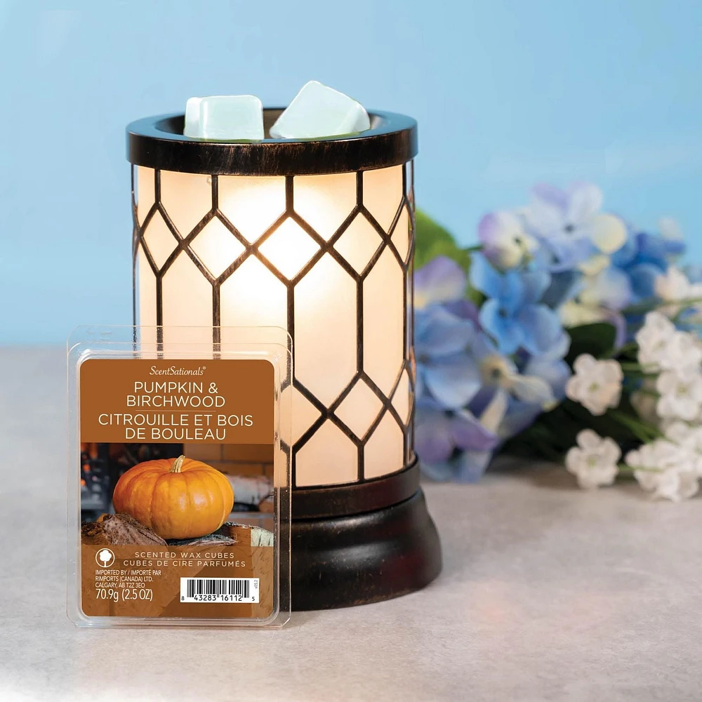 ScentSationals, Cubes de cire parfumés - Citrouille et bois de bouleau 2.5 oz (70.9 g)