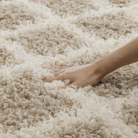 Safavieh Layla Tapis Géométrique Shag