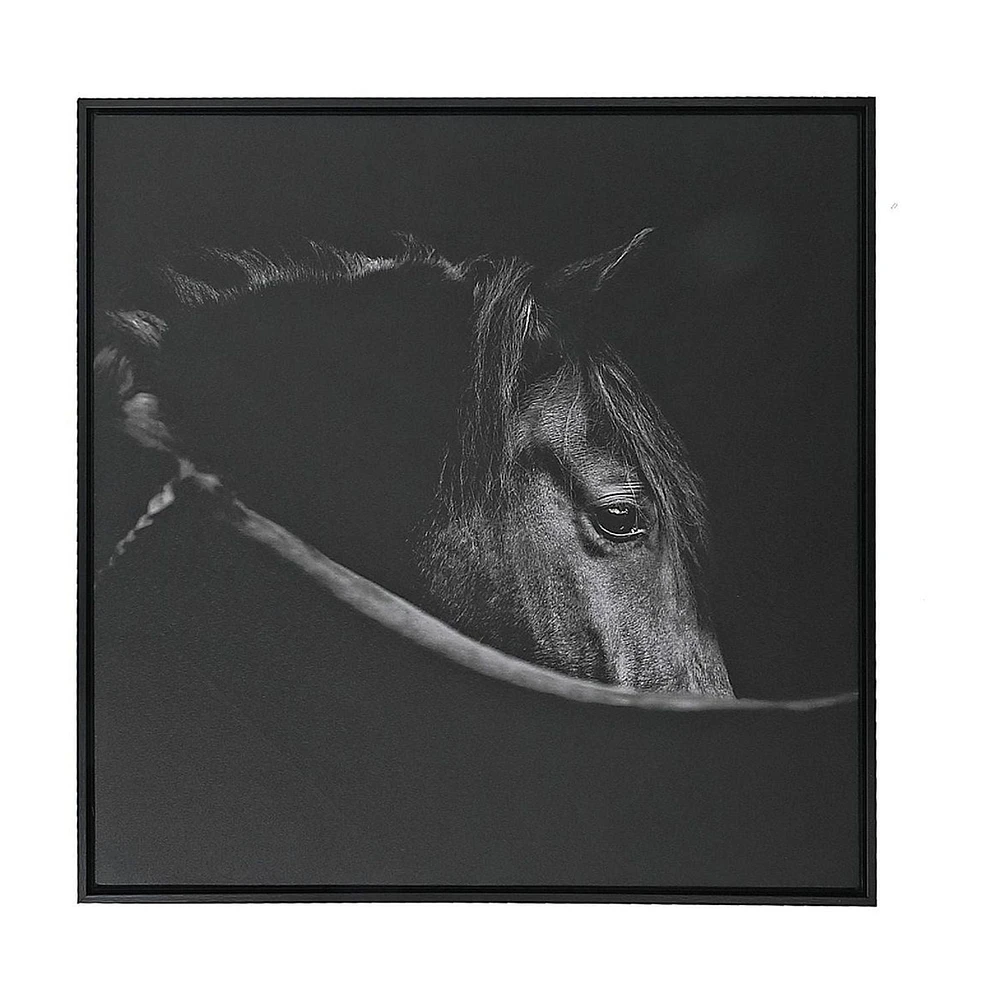 Framed Canvas Wall Art Horse Head