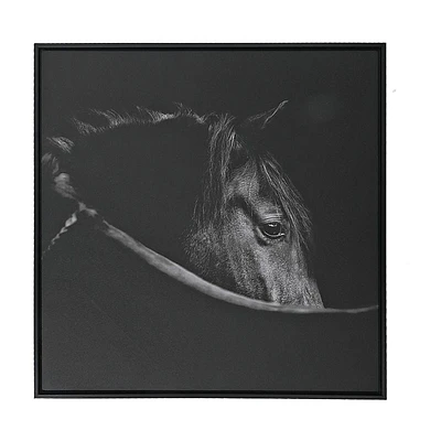 Framed Canvas Wall Art Horse Head