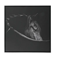 Framed Canvas Wall Art Horse Head