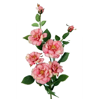 Rose Islandaise 28" Danson Decor