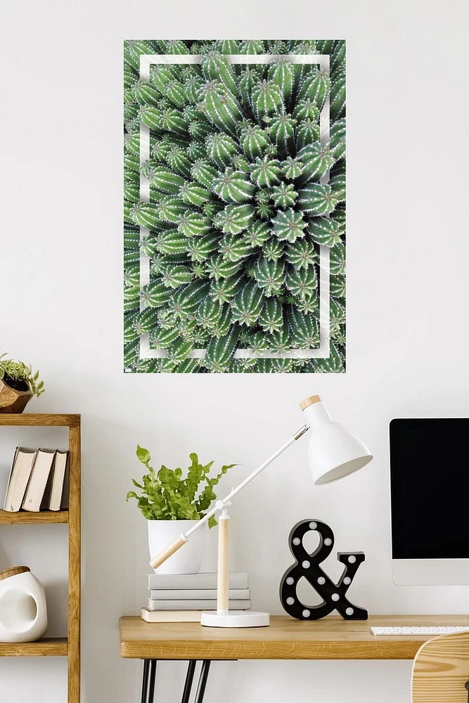 Cactus - Group Wall Poster, 22.375" x 34"