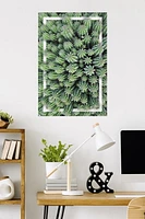 Cactus - Group Wall Poster, 22.375" x 34"