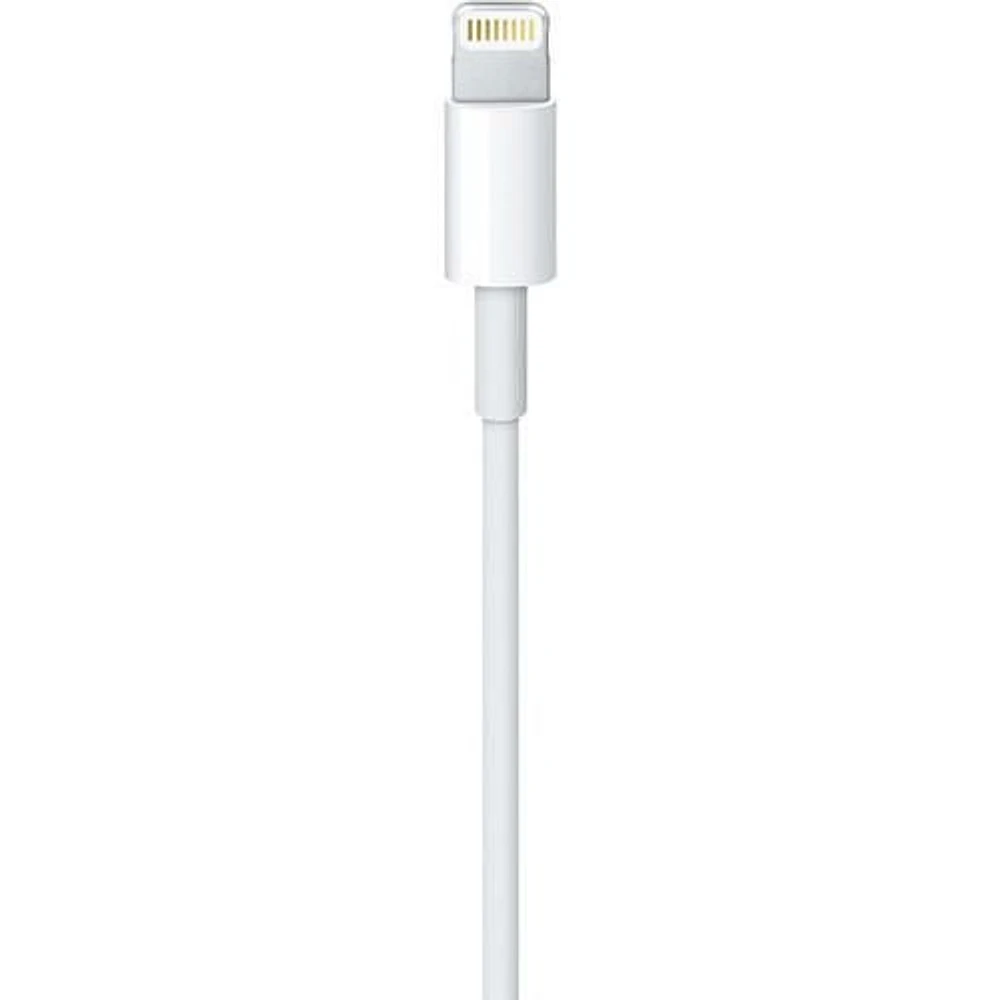 Câble de charge et de synchronisation Apple Lightning vers USB (blanc, 1,6 ')