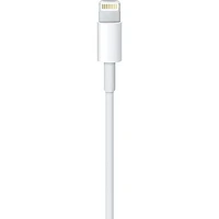 Câble de charge et de synchronisation Apple Lightning vers USB (blanc, 1,6 ')