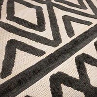 Indoor Rug