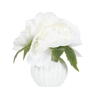 Enola Peonies in Ceramic Pot, 7.5"H x 4"Diameter