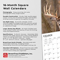 BrownTrout Monster Bucks 2024 12x24 Inch Square Wall Calendar, 9781975464073