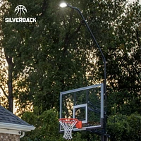 Lumière de panier de basket-ball DEL Silverback