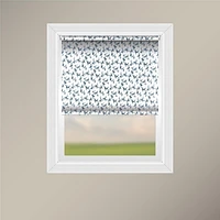 Off Cut Shades Store à Rouleau Transparent sans Chaîne