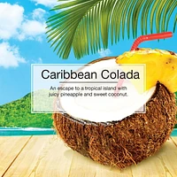 LITTLE TREES air freshener Caribbean Colada 3-Pack, LT Caribbean Colada 3-Pack