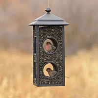 Perky-Pet Fly-Thru Bird Feeder – 2 lb Capacity