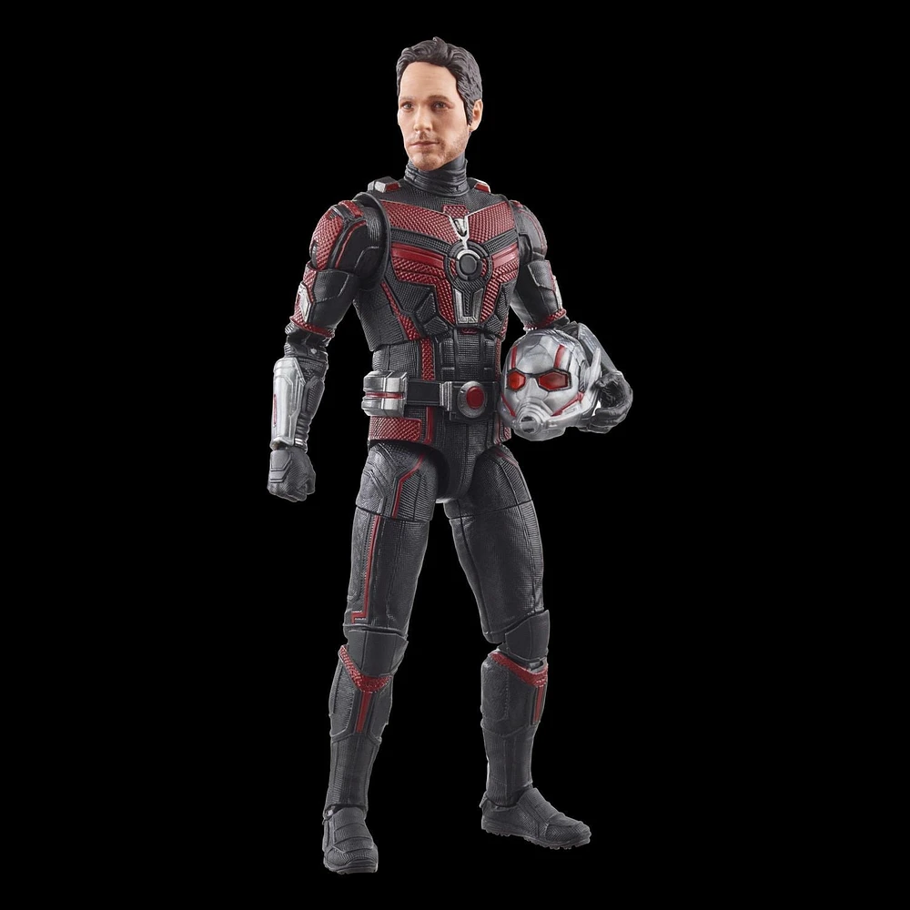 Hasbro Marvel Legends Series Ant-Man, Ant-Man & the Wasp: Quantumania Collectible 6 Inch Action Figures, Ages 4 and Up 