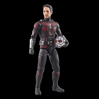 Hasbro Marvel Legends Series Ant-Man, Ant-Man & the Wasp: Quantumania Collectible 6 Inch Action Figures, Ages 4 and Up 