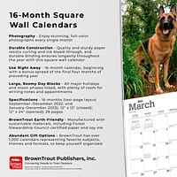 German Shepherds 2023 Square
