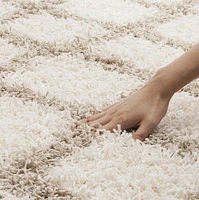 Safavieh Dallas Jerrie Tapis Géométrique Shag