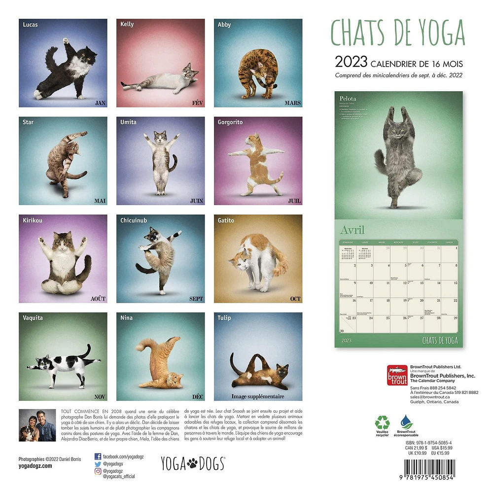 Chats de Yoga 2023 Square FRENCH BTCA