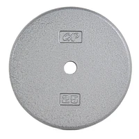 CAP Barbell Standard Cast Iron Weight Plate, 50 lb, Gray