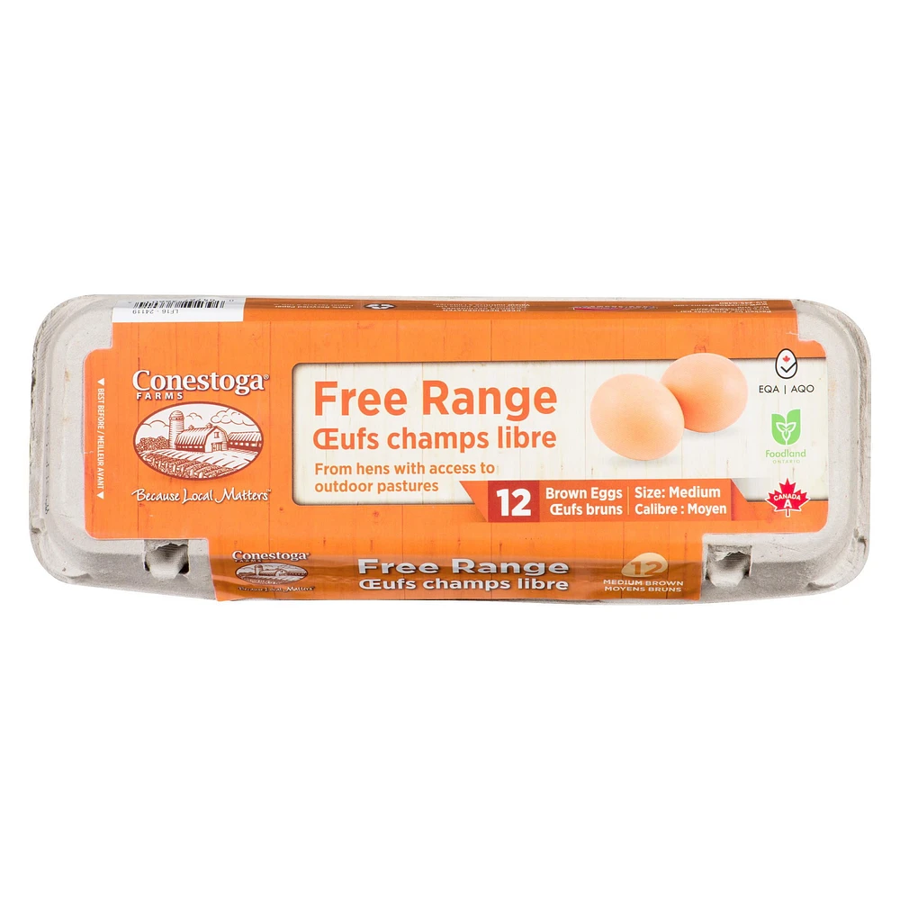 Conestoga Farms Free Range Medium Brown Eggs, 12 count