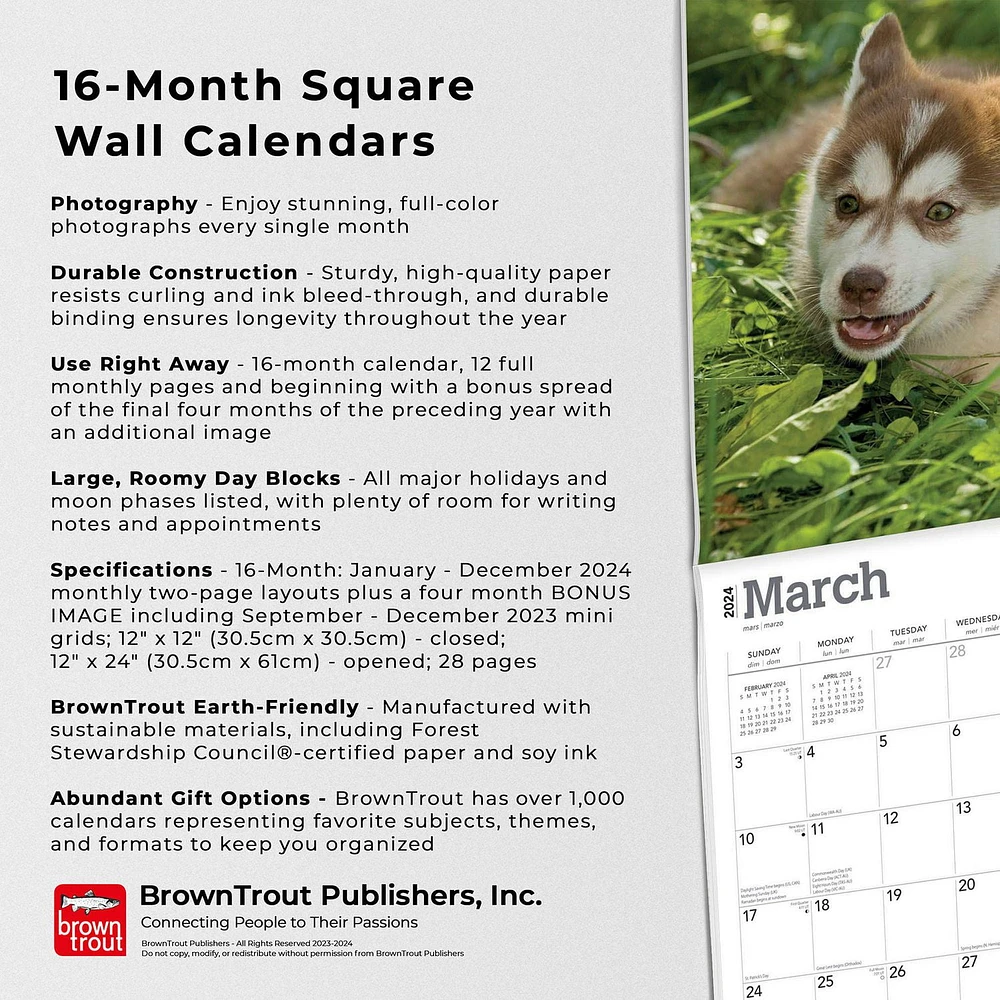 BrownTrout Siberian Husky Puppies 2024 12x24 Inch Square Wall Calendar, 9781975465087