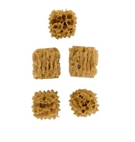 Accessoires de peinture FolkArt – Éponges format économique 5 paquets d'éponges de mer