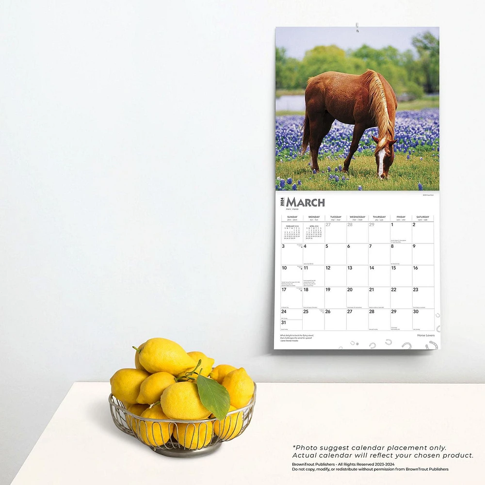 BrownTrout Horse Lovers 2024 12x24 Inch Square Wall Calendar, 9781975463113