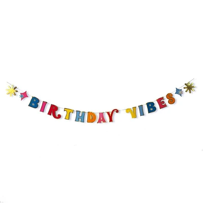 Packed Party Birthday Vibes Banner, Gold and Silver Accents