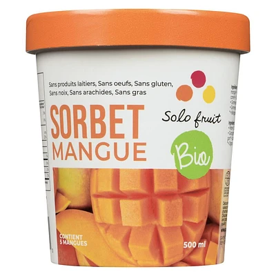 Solo Fruit Sorbet Mangue Bio Contenance 500ml