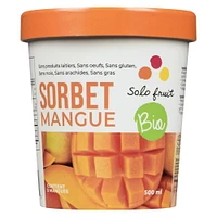 Solo Fruit Sorbet Mangue Bio Contenance 500ml