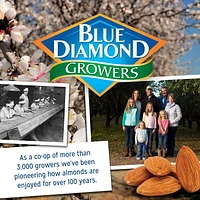 Blue Diamond Honey Roasted Almonds 310g, BD Honey Roasted Almonds 310g