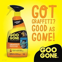 Goo Gone Graffiti Remover Spray Bottle, 24 fl oz, Removes dry & wet paint fast!