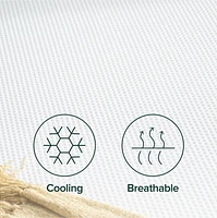 Zinus Nuit 8 Inch Cooling Memory Foam Mattress