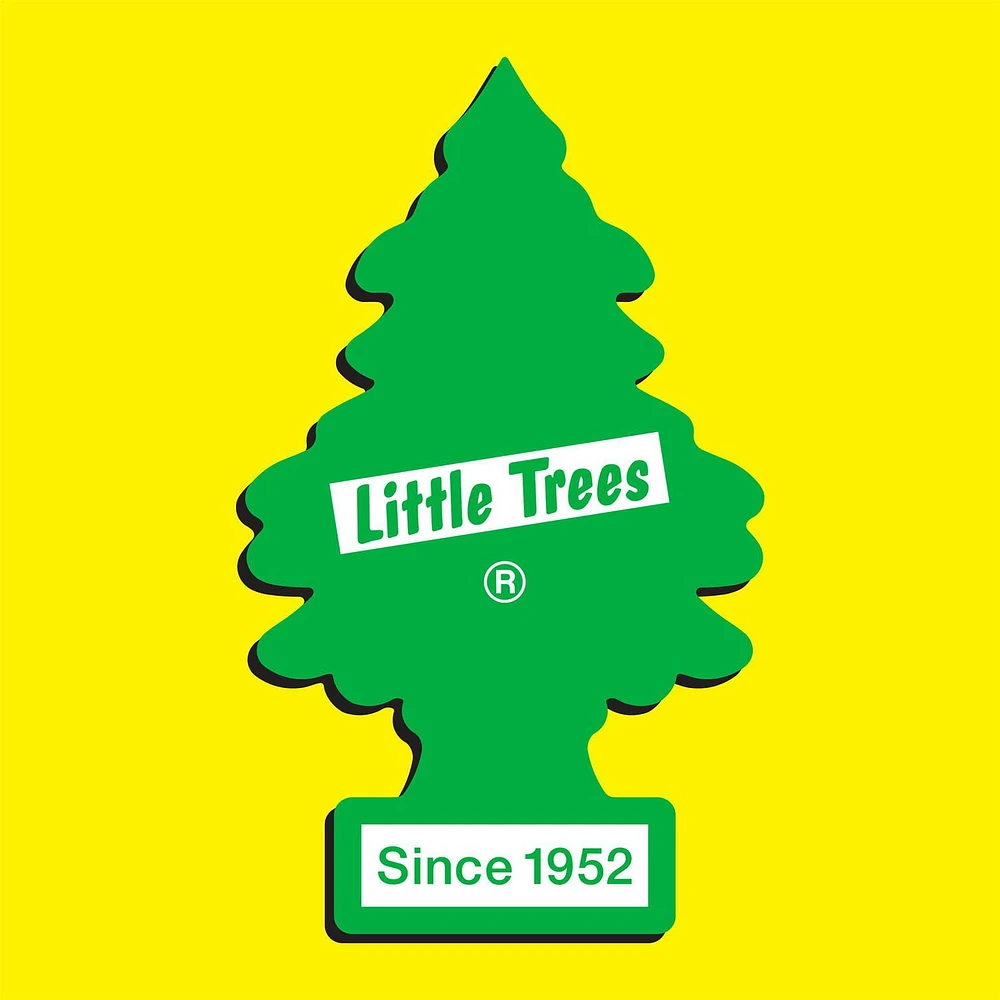 Assainisseur d'air LITTLE TREES True North 3-Pack LT True North, paquet de 3