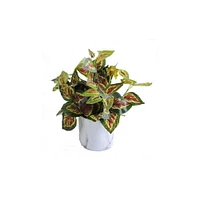 Plante artificielle de Lerman Decor Plante artificielle en pot de marbre