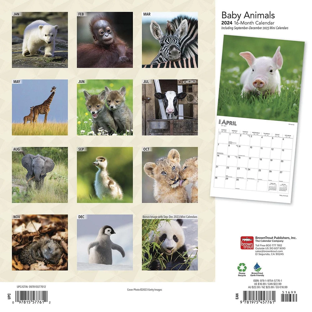 BrownTrout Bébés animaux 2024 Mur Carré 30.48x60.96 CM, 9781975457761