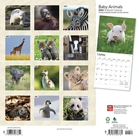 BrownTrout Bébés animaux 2024 Mur Carré 30.48x60.96 CM, 9781975457761