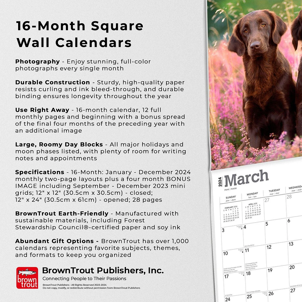 BrownTrout Flat-Coated Retrievers 2024 12x24 Inch Square Wall Calendar, 9781975467890