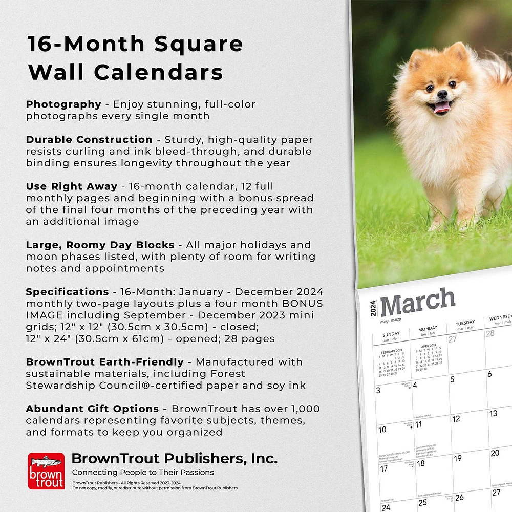 BrownTrout Pomeranians 2024 12x24 Inch Square Wall Calendar, 9781975464561