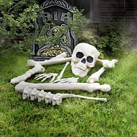 WAY TO CELEBRATE BAG OF BONE  -  12PCS