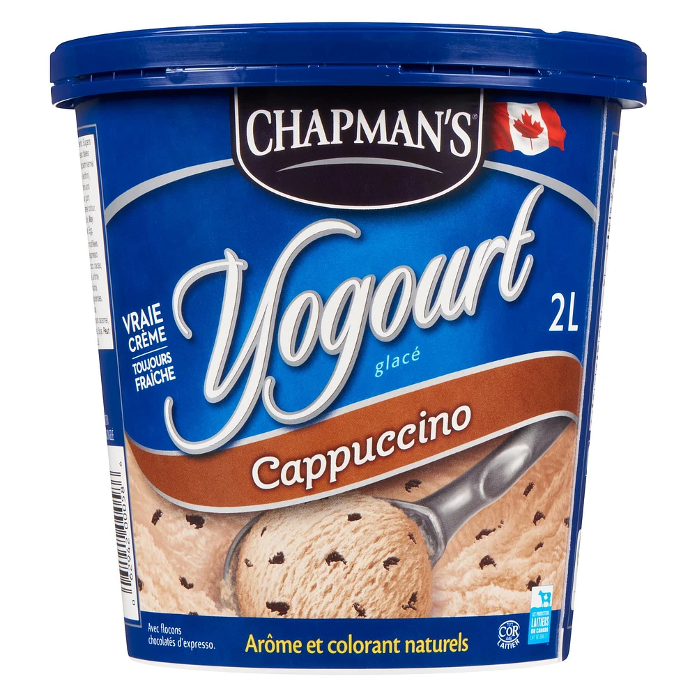 Chapman's Frozen Yogurt Cappuccino