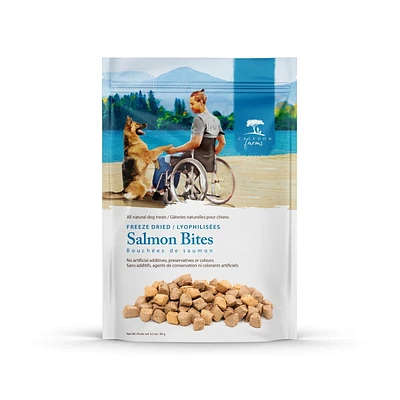 Caledon Farms Freeze Dried Salmon Bites Dog Treats, 90g