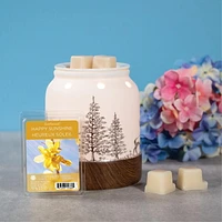 ScentSationals, Scented Wax Cubes - Happy Sunshine