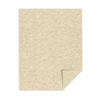 Astroparche Specialty Cardstock Paper, 8.5" x 11", 65 Lb, 100 Sheets