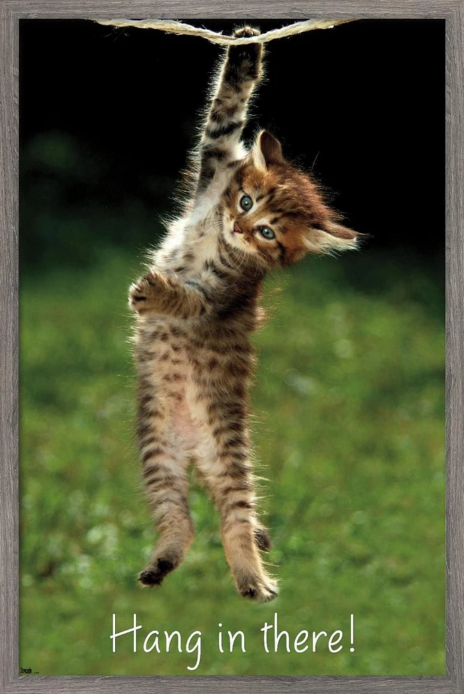 Famous Kitten Hang In There Poster Wall Poster