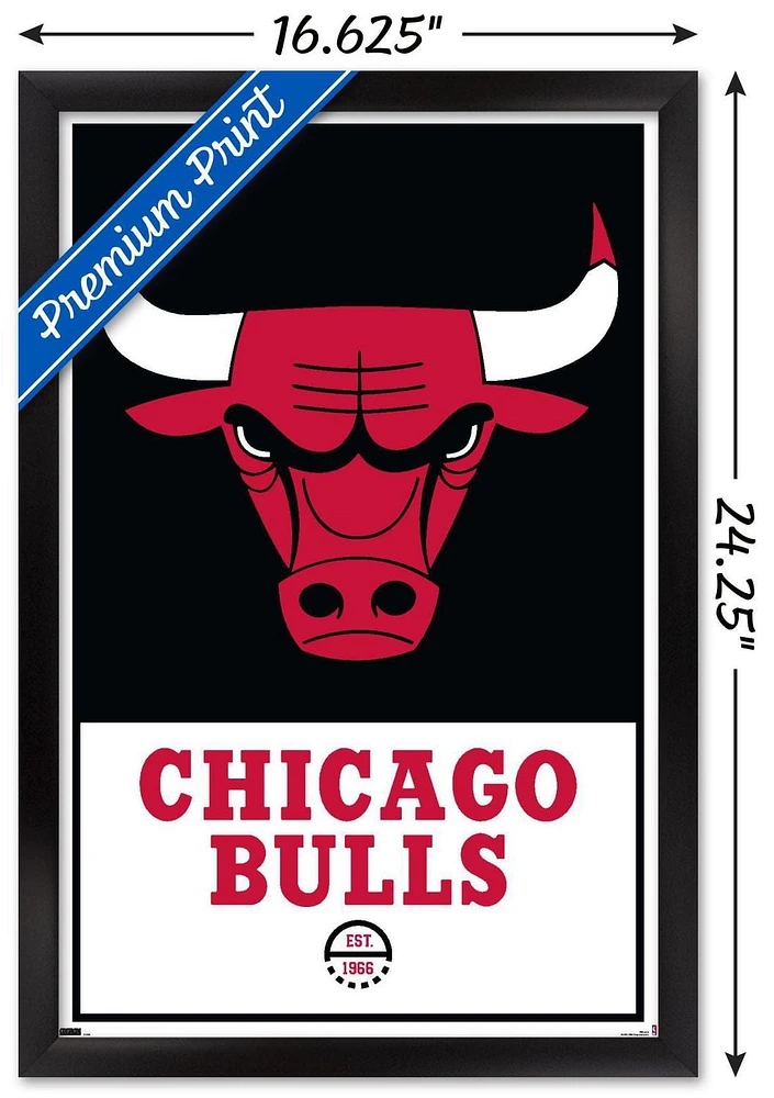 NBA Chicago Bulls